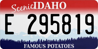 ID license plate E295819