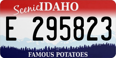 ID license plate E295823