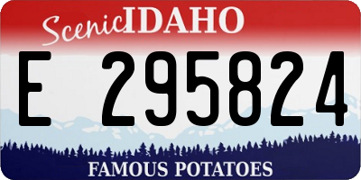ID license plate E295824