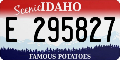 ID license plate E295827