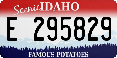 ID license plate E295829