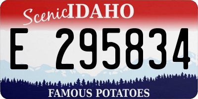 ID license plate E295834