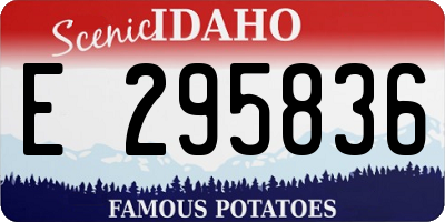 ID license plate E295836
