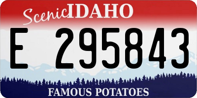 ID license plate E295843