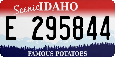 ID license plate E295844