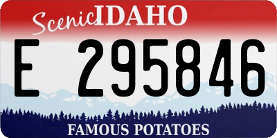 ID license plate E295846