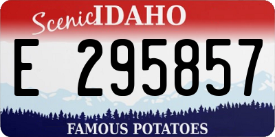 ID license plate E295857