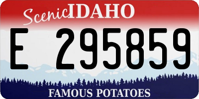 ID license plate E295859