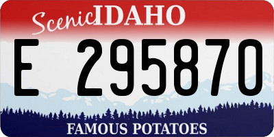 ID license plate E295870