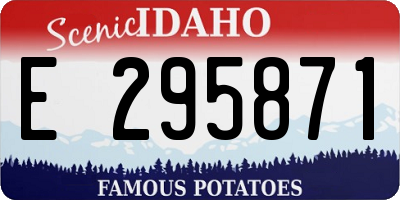 ID license plate E295871