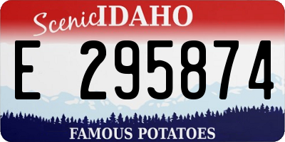 ID license plate E295874