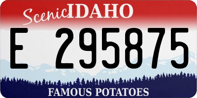 ID license plate E295875