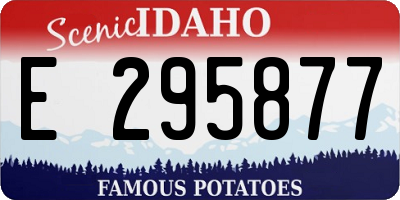 ID license plate E295877