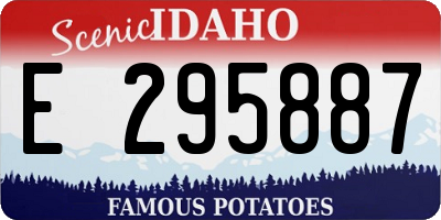 ID license plate E295887