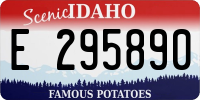 ID license plate E295890