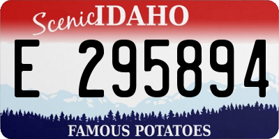 ID license plate E295894