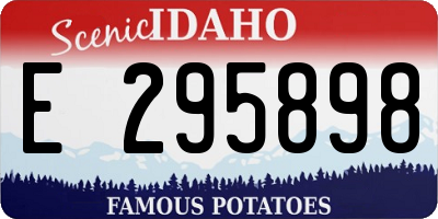 ID license plate E295898