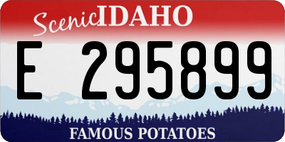 ID license plate E295899