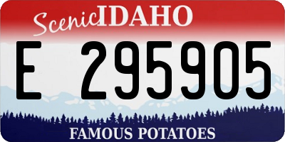 ID license plate E295905