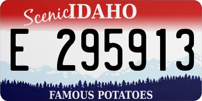 ID license plate E295913