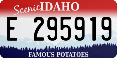 ID license plate E295919
