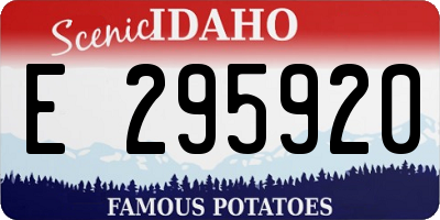 ID license plate E295920