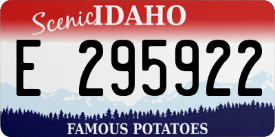 ID license plate E295922