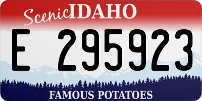ID license plate E295923