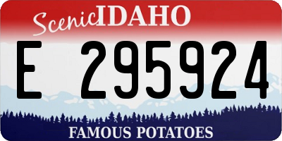 ID license plate E295924
