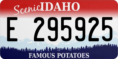 ID license plate E295925