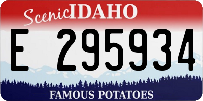 ID license plate E295934