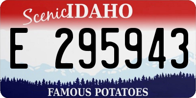 ID license plate E295943