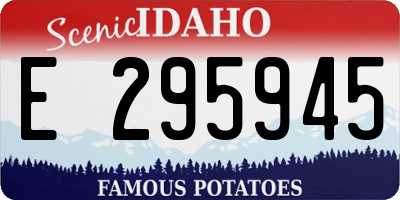 ID license plate E295945