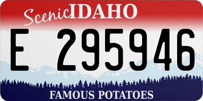 ID license plate E295946
