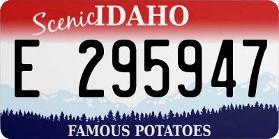 ID license plate E295947
