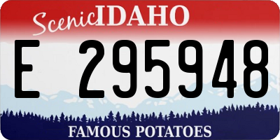 ID license plate E295948