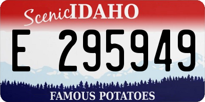 ID license plate E295949