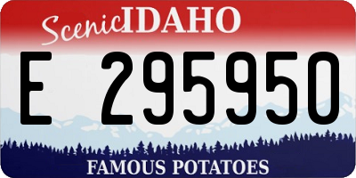 ID license plate E295950