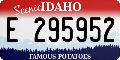 ID license plate E295952