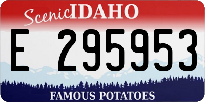 ID license plate E295953