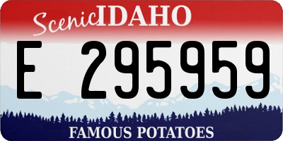 ID license plate E295959