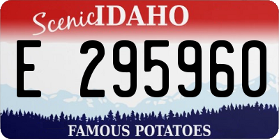 ID license plate E295960