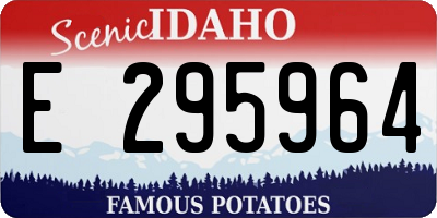 ID license plate E295964