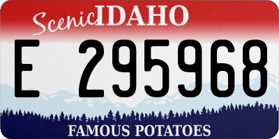 ID license plate E295968