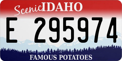 ID license plate E295974