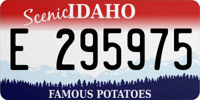 ID license plate E295975