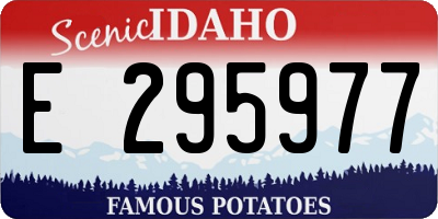 ID license plate E295977