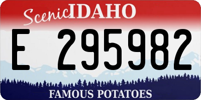 ID license plate E295982