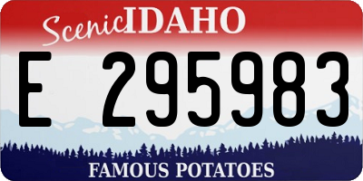 ID license plate E295983