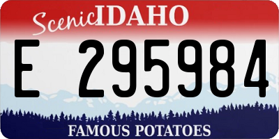 ID license plate E295984